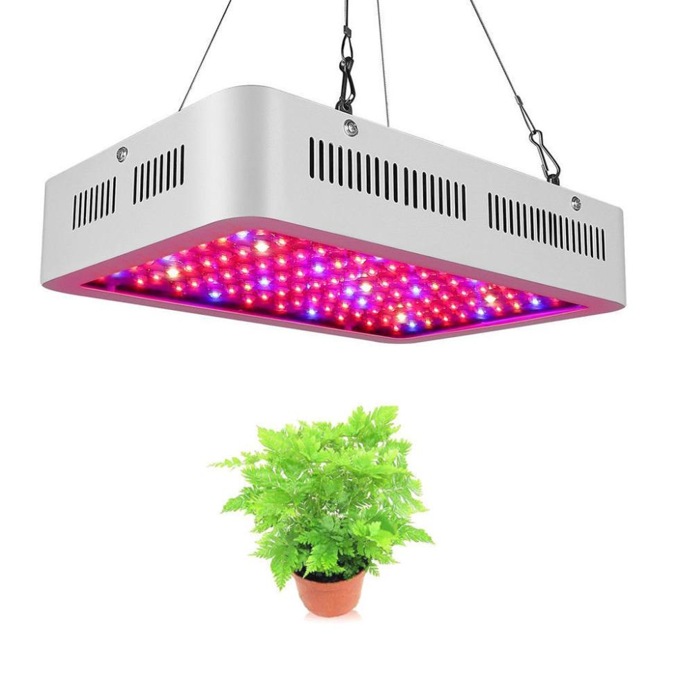 Which LED Grow Light Brand Is the Best for My Needs?