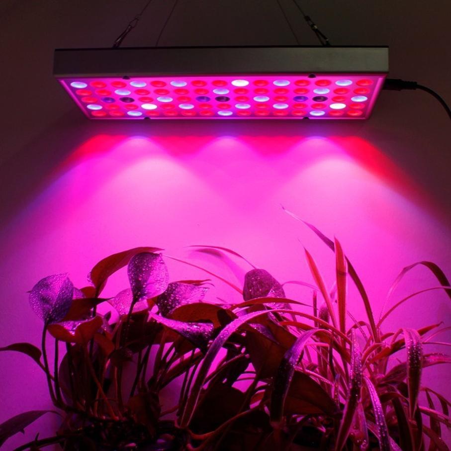 What Are the Best LED Grow Light Brands?